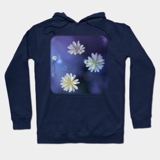 blossom's cosmos Hoodie